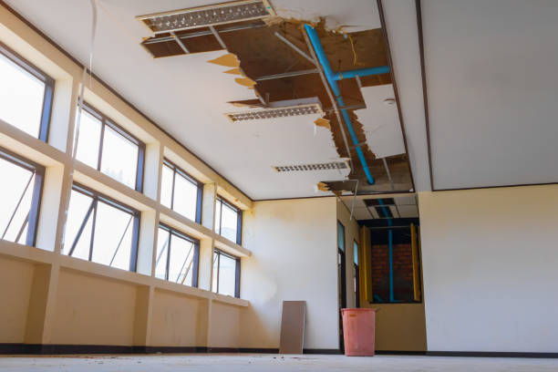 Best Water damage cleanup near me  in West Ishpeng, MI