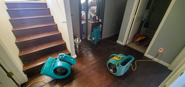 Best Flood restoration services  in West Ishpeng, MI