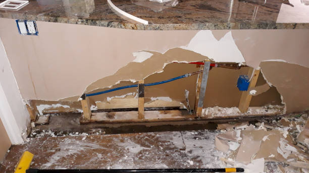 Best Water damage restoration near me  in West Ishpeng, MI
