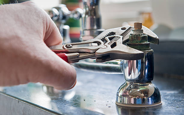Best Professional water damage repair  in West Ishpeng, MI