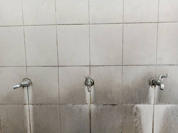 Best Flood damage cleanup  in West Ishpeng, MI